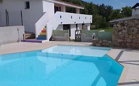 B&B Daillu